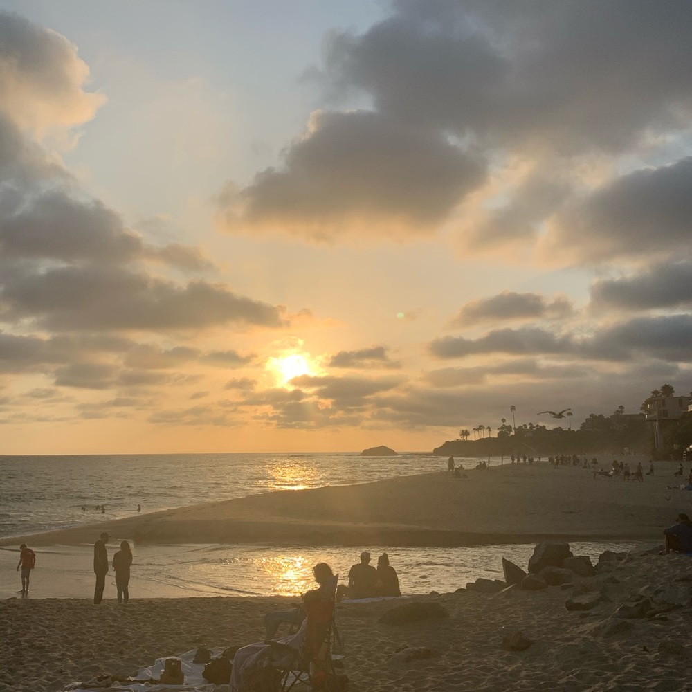 Meet your Posher, Riley